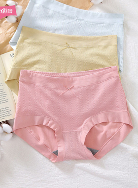 彩田32723新款莫代尔提花高腰全棉短裤大码包臀柔软透气女士内裤