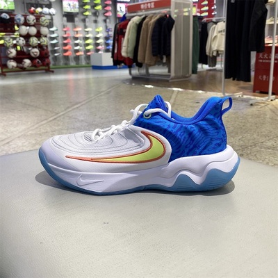 Nike耐克大童GIANNIS IMMORTALITY运动耐磨篮球鞋HF1181-100