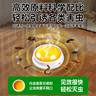 蚂蚁药家用全窝室内大小蟑螂端一锅杀小黑黄红白灭蚁 2025新款