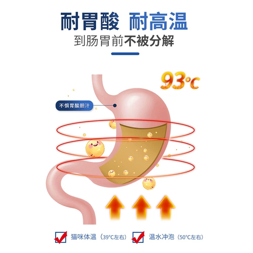 Правильный пробиотик Cat Mag Cat, содержащий дрожжевых кошек Bradil