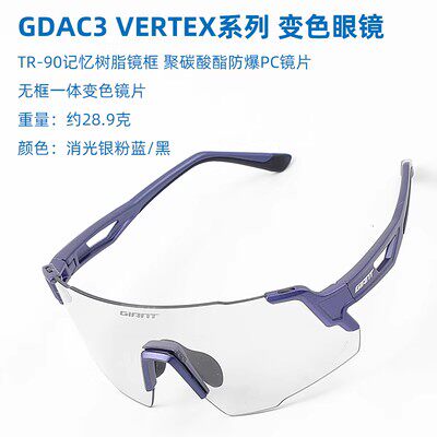GIANT GDAC3捷安特骑行眼镜户外运动男女防风紫外线变色太阳镜装