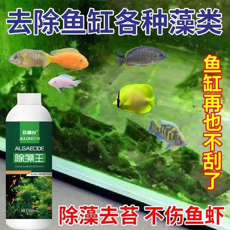绿藻去除剂鱼缸除藻剂去苔剂清洁鱼缸净水剂水质净化剂,鲜花速递/花卉仿真/绿植园艺,家庭园艺肥料,淘宝优惠券,粉丝福利购,淘宝优惠卷