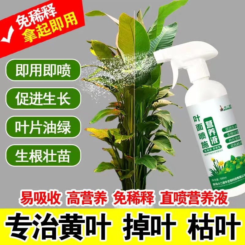 叶面喷施专用营养液叶绿素叶面肥绿植叶片促生长免稀释,鲜花速递/花卉仿真/绿植园艺,家庭园艺肥料,淘宝优惠券,粉丝福利购,淘宝优惠卷