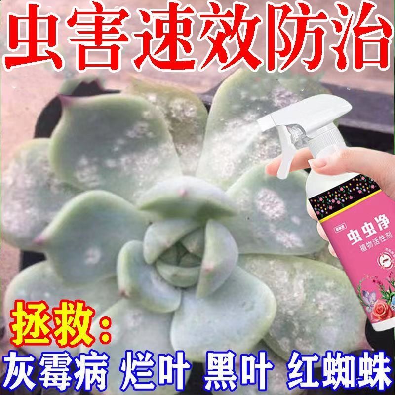 到手4瓶虫虫净杀虫神器植物活性剂通用型蚜虫红蜘蛛介壳虫小黑飞,鲜花速递/花卉仿真/绿植园艺,家庭园艺肥料,淘宝优惠券,粉丝福利购,淘宝优惠卷