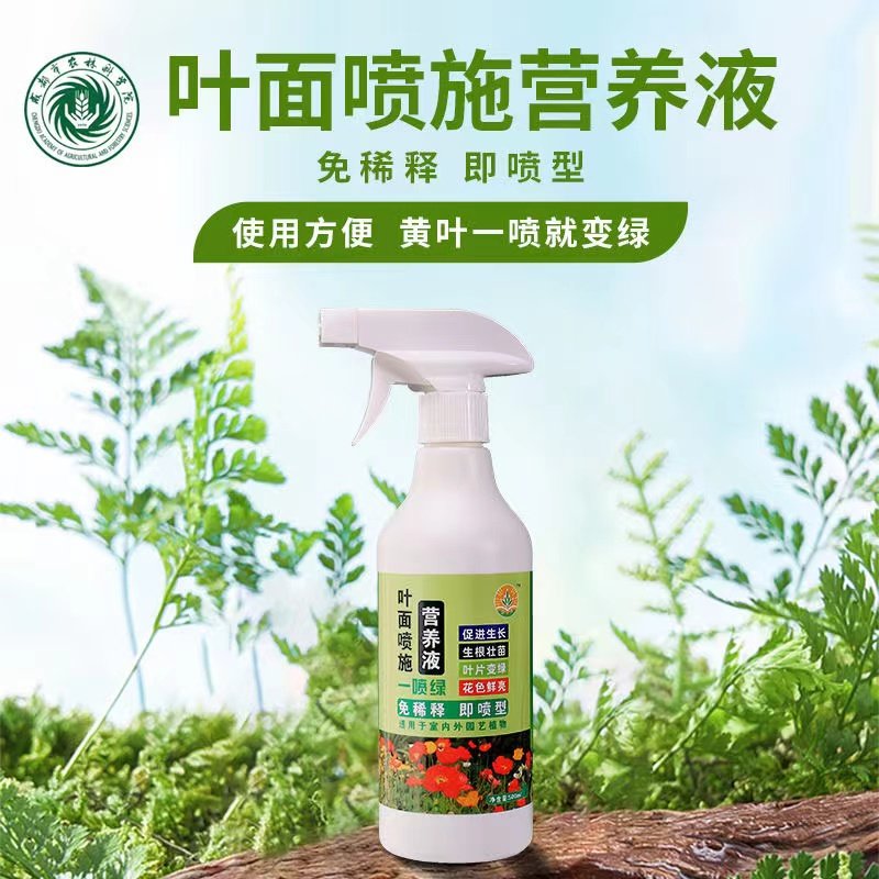叶绿素营养液烂根死苗黄叶一喷绿营养液防治根腐病叶面肥,鲜花速递/花卉仿真/绿植园艺,家庭园艺肥料,淘宝优惠券,粉丝福利购,淘宝优惠卷