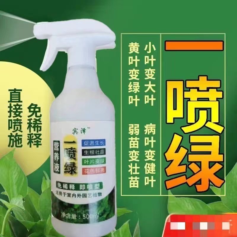 拍1发3瓶叶绿素叶面肥一喷绿黄叶变绿营养液长春花胡椒木公主,鲜花速递/花卉仿真/绿植园艺,家庭园艺肥料,淘宝优惠券,粉丝福利购,淘宝优惠卷