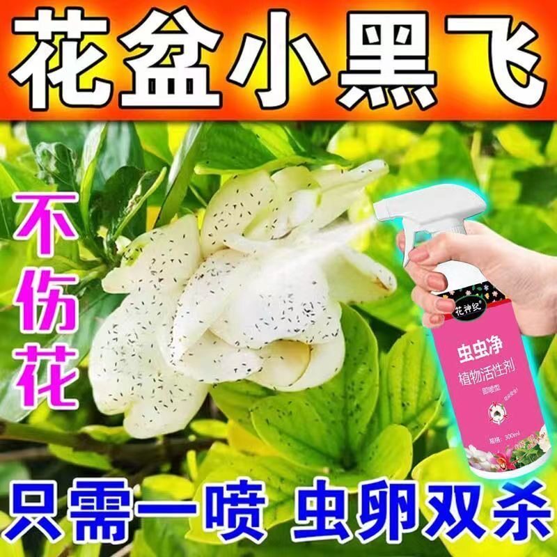 拍1发5虫虫净杀虫杀菌剂植物花卉蚜虫蚧壳虫白粉虱免稀释防虫喷雾
