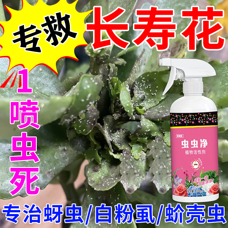 拍1发2虫虫净植物杀虫药花卉蚜虫红蜘蛛蚧壳虫虱免稀释驱虫喷雾剂,鲜花速递/花卉仿真/绿植园艺,家庭园艺肥料,淘宝优惠券,粉丝福利购,淘宝优惠卷