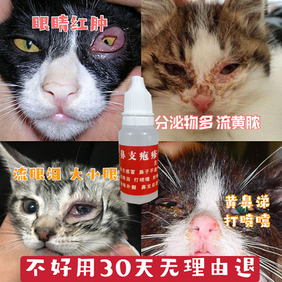猫鼻支滴眼液疱疹病毒治疗药