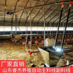 料线全套件饲料鸡食桶鸭上料投料机料桶送料猪厂整套自动喂料绞龙
