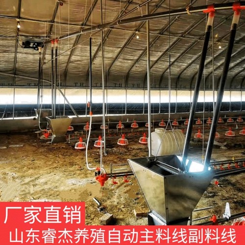配件送料猪厂整套自动绞龙鸡鸭