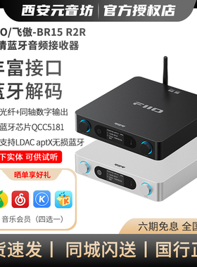 FIIO/飞傲 BR15 R2R高清蓝牙音频接收器 蓝牙6.0 USB家用电视音箱