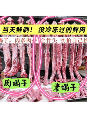 整条整根鲜羊蝎子多肉羊蝎子