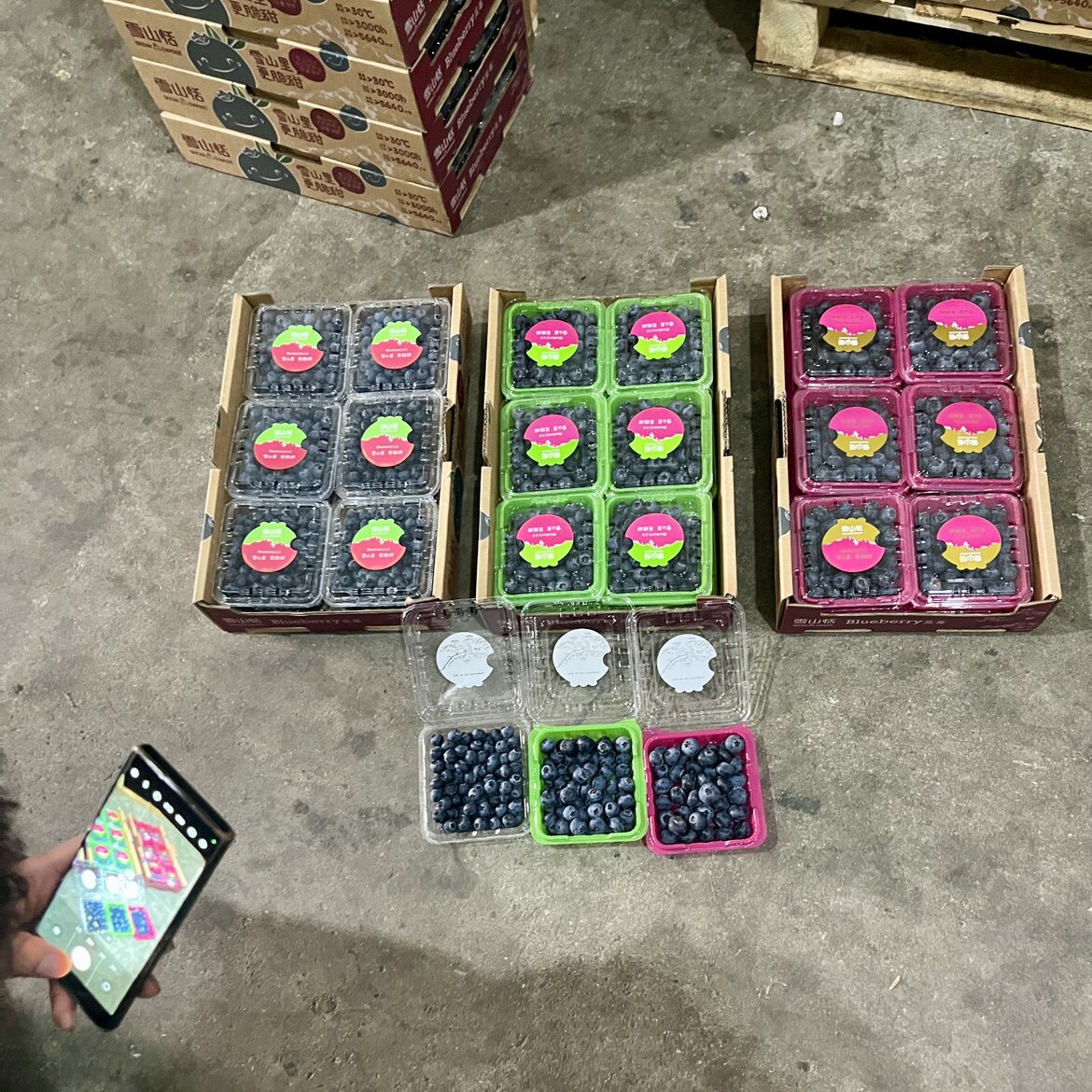原箱12盒 云南雪山恬蓝莓鲜蓝莓佳沃蓝莓大果新鲜当季 孕妇水果
