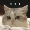 baobaobaobaobao