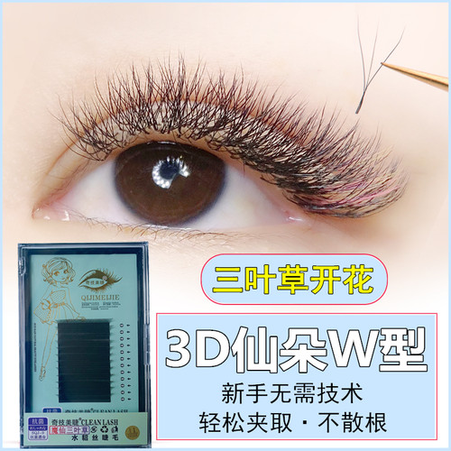 奇技魔仙三叶仙草0.03C/B超软不散根水貂三叶草自动开花嫁接睫毛