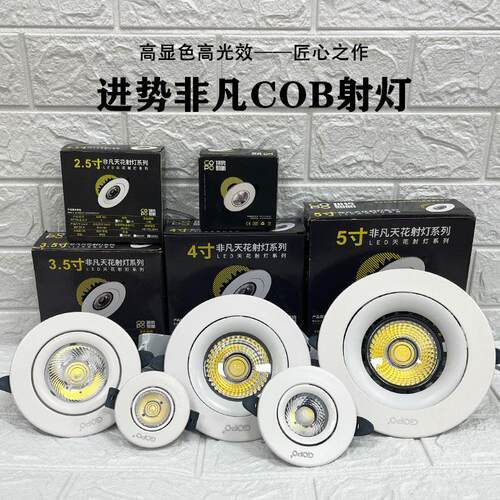 GOPO进势照明COB射灯LED天花灯牛眼瞪客厅嵌入式吊顶洞灯家用防眩