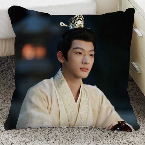张晚意长相思玱玹轩公子周边同款沙发抱枕女生睡觉专用头来图制作