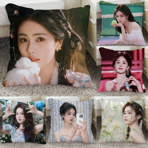 白鹿沙发抱枕女生睡觉专用郑书意温时宜双面图片枕头照片制作宿舍