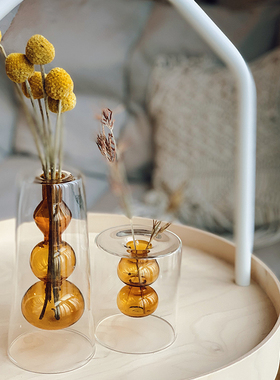 Homeside双层玻璃花瓶北欧ins简约彩色玻璃球摆件透明水培花器