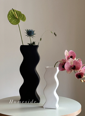 Homeside波浪形花瓶北欧ins黑白S曲线几何陶瓷花器民宿装饰摆件
