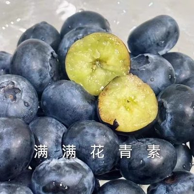 脆甜蓝莓天花板当季鲜果