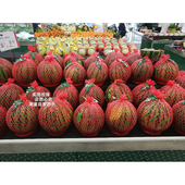 西瓜固定圈神器防滑垫瓜托水果店陈列摆放展示底座塑料圈环套圈