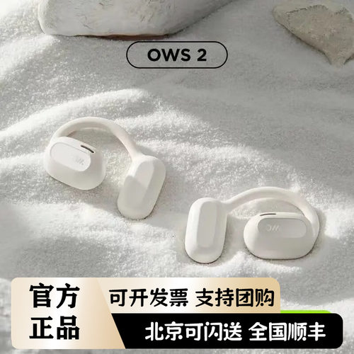 OLADANCE OWS Pro5.3