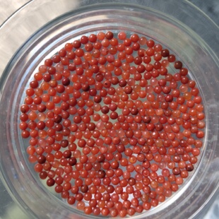 天然南红原矿2.0MM无孔散珠小米珠子圆珠星月凤眼镶嵌DIY手工配件