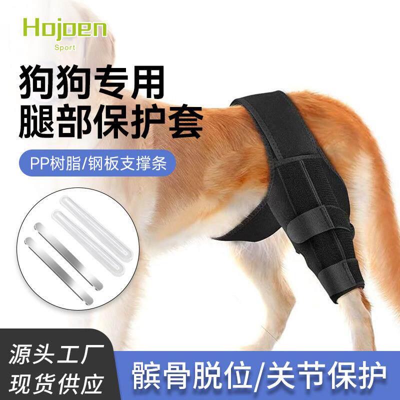宠物护具狗后腿受伤辅助带狗狗护膝康复带腿部关节受伤术后狗护腿
