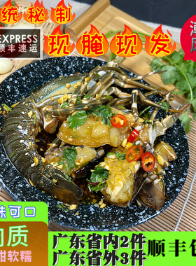 享尝鲜海鲜潮汕生腌海鲜腌龙虾小青龙花龙网红即食罐装500g下酒菜