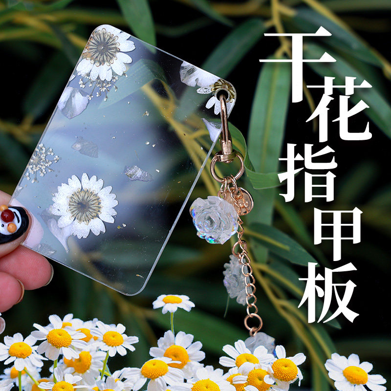 透明亚克力古筝指甲板干花雏菊挂件装饰多用途文玩周边