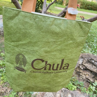 泰国小众朱拉chula大学文创防水环保袋挎包手拎包个性伴手礼bkpp