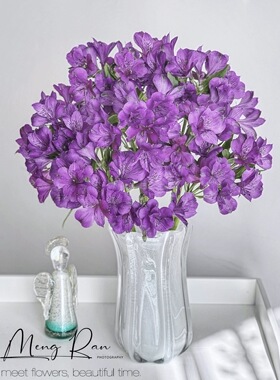 六出.紫色10枝不包邮