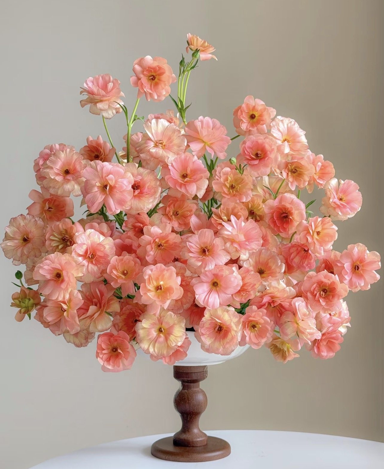 花棉袄蝴蝶洋牡丹.鲑鱼1扎不包邮,鲜花速递/花卉仿真/绿植园艺,婚车鲜花,淘宝优惠券,粉丝福利购,淘宝优惠卷