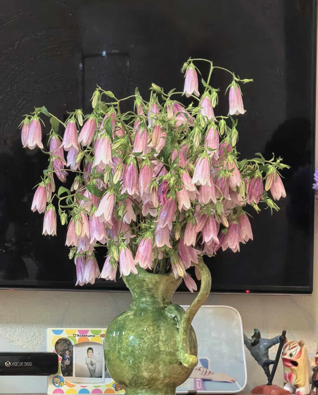 紫斑风铃1扎不包邮