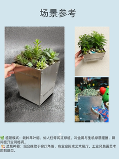 不锈钢花盆 造景盆 栽绿植 盆栽 盆景 块根植物种植 多肉造景盆
