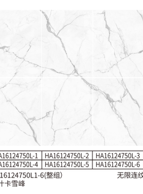 诺贝尔 大板瓷砖 岗什卡雪峰 HA16124750L  尺寸1200X1600