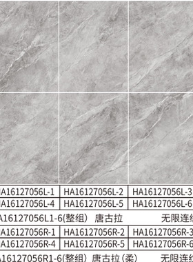 诺贝尔瓷砖 大板 HA16127056L HA16127056R唐古拉  单品1200X1600