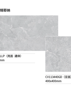 斯米克  畅享系列 特斯兰 ZV1003RLLP 通体中板 尺寸400X800 亮面