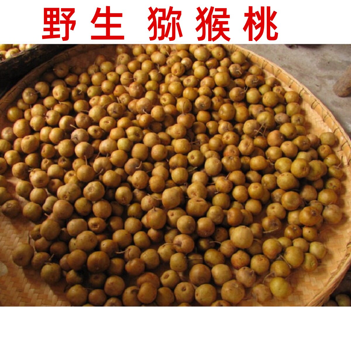 陕西汉中洋县秦岭山区野生猕猴桃5斤 新鲜小猕猴桃