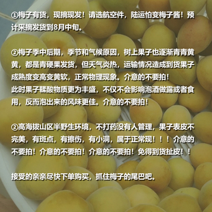 云南现货速发顺丰空运现摘黄梅酸梅子泡酒香味更浓郁手摘2026年新