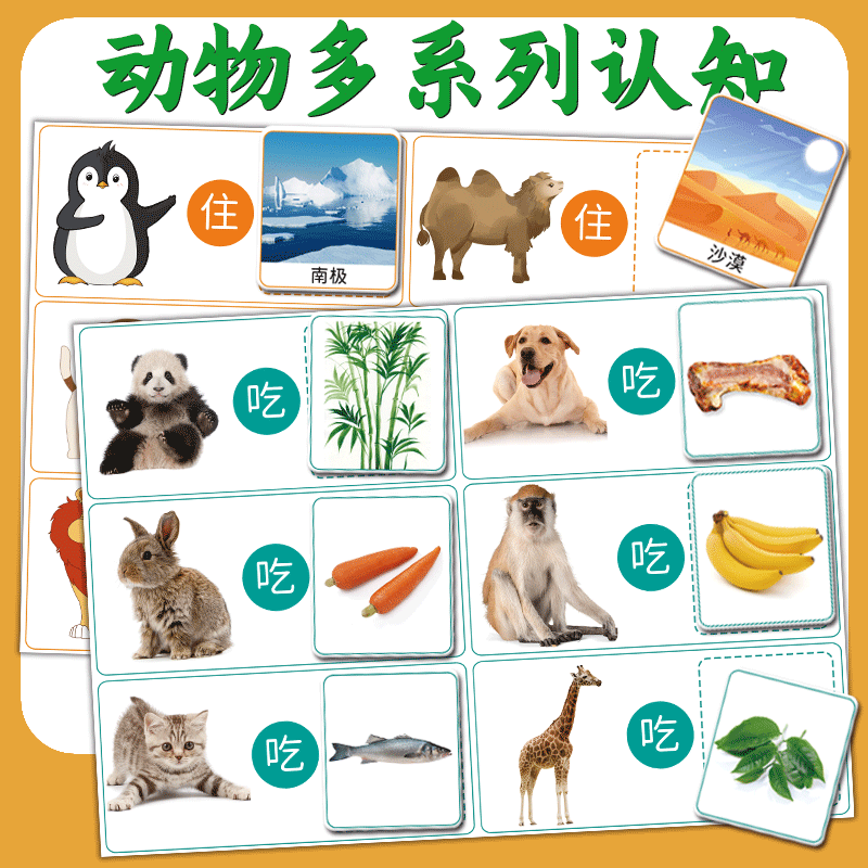 动物系列认知卡片语言幼儿教具