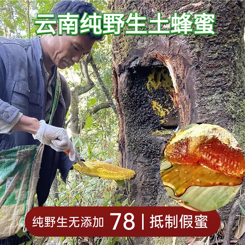 云南山货纯野生土蜂蜜花青素冬蜜春蜜深山百花蜜老巢蜜孕妇食用