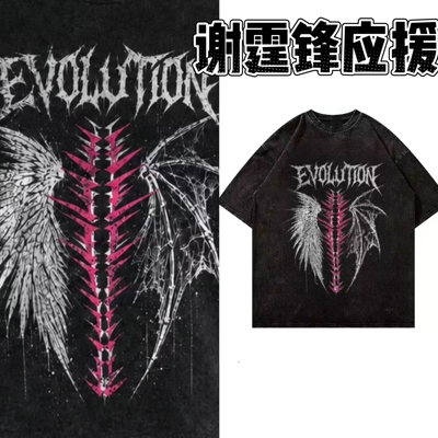 谢霆锋Evolution演唱会衣服重庆周边同款水洗做旧纯棉短袖T恤宽松