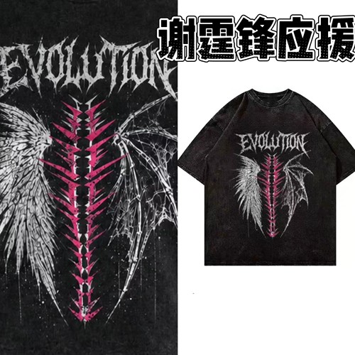 谢霆锋Evolution演唱会衣服重庆周边同款水洗做旧纯棉短袖T恤宽松