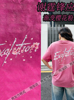 谢霆锋Evolution进化武汉演唱会应援衣服宽松纯棉T恤洗水男女同款