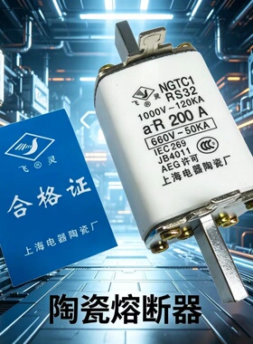 飞灵快速熔断器NGTC1熔芯RS32 80A 100A 160A 200A 250A 保险丝管