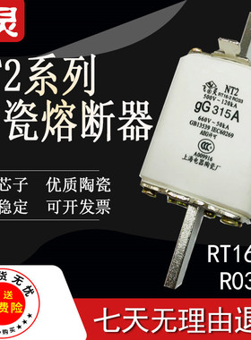 飞灵低压熔断器NT2-250A 300A 315A 350A 400A熔断体熔芯保险丝管