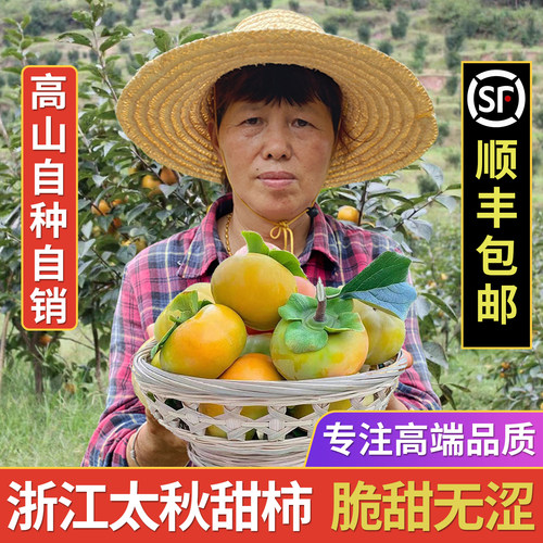 正宗日本太秋甜柿子水果新鲜现摘脆甜浙江大秋礼盒装8颗精品大果